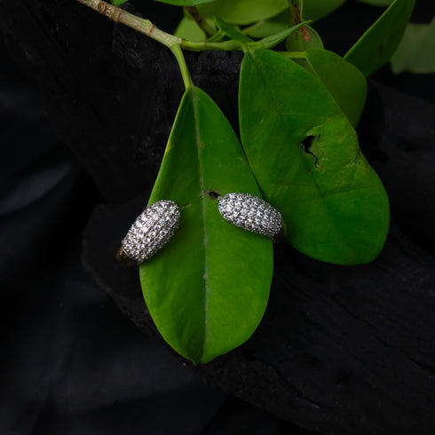 Enigmatic Elegance Clip Earrings - D118-2